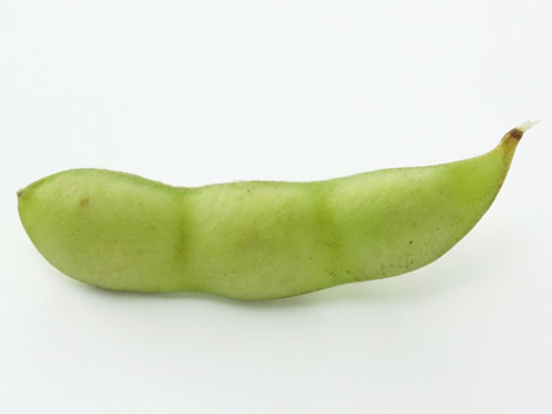 μë