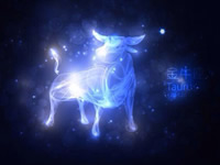 ţİ