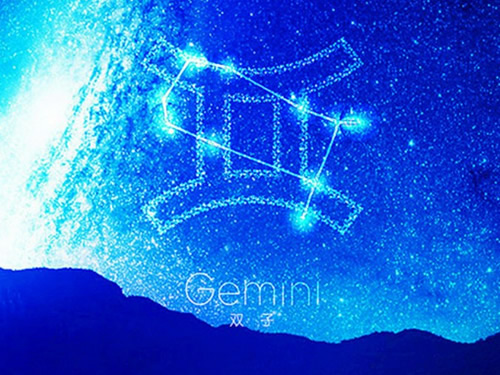 ˫